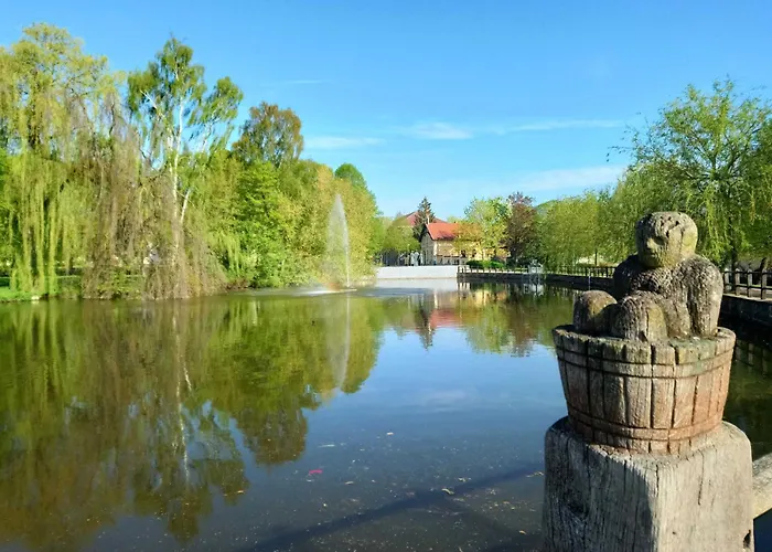 Seewald * تيتيرو